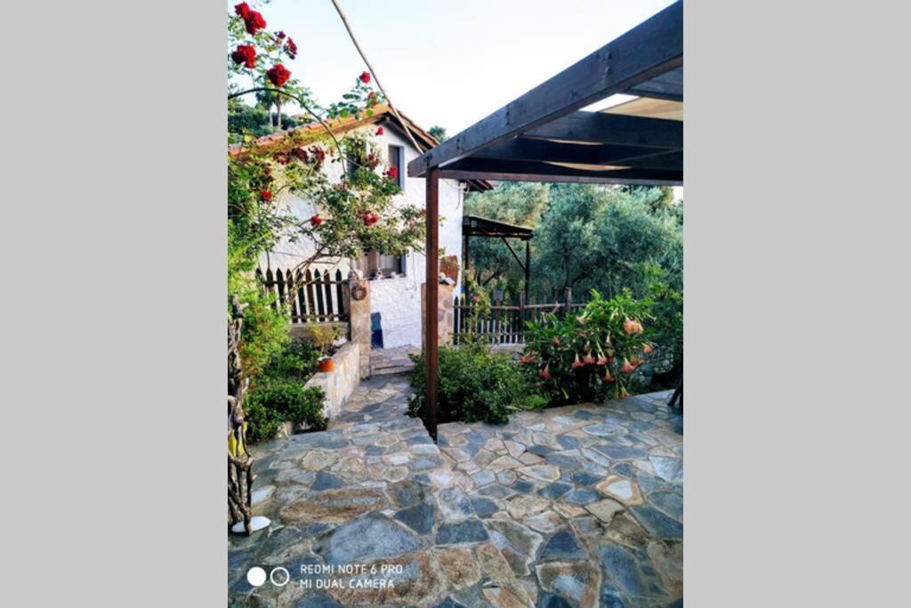 Lost Paradise โคเรฟตอน ภายนอก รูปภาพ